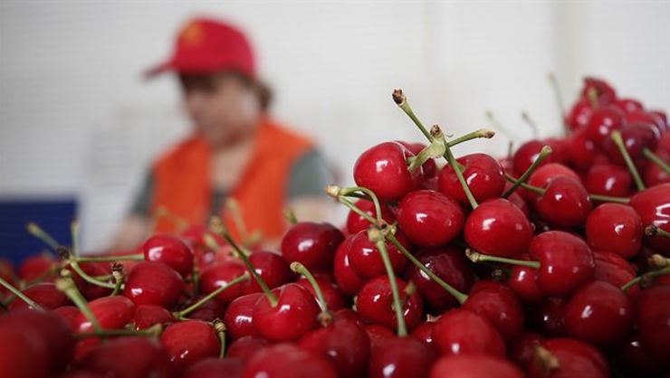 Türkiye Çinlilere İnsan Yemeklerini Öğretecek