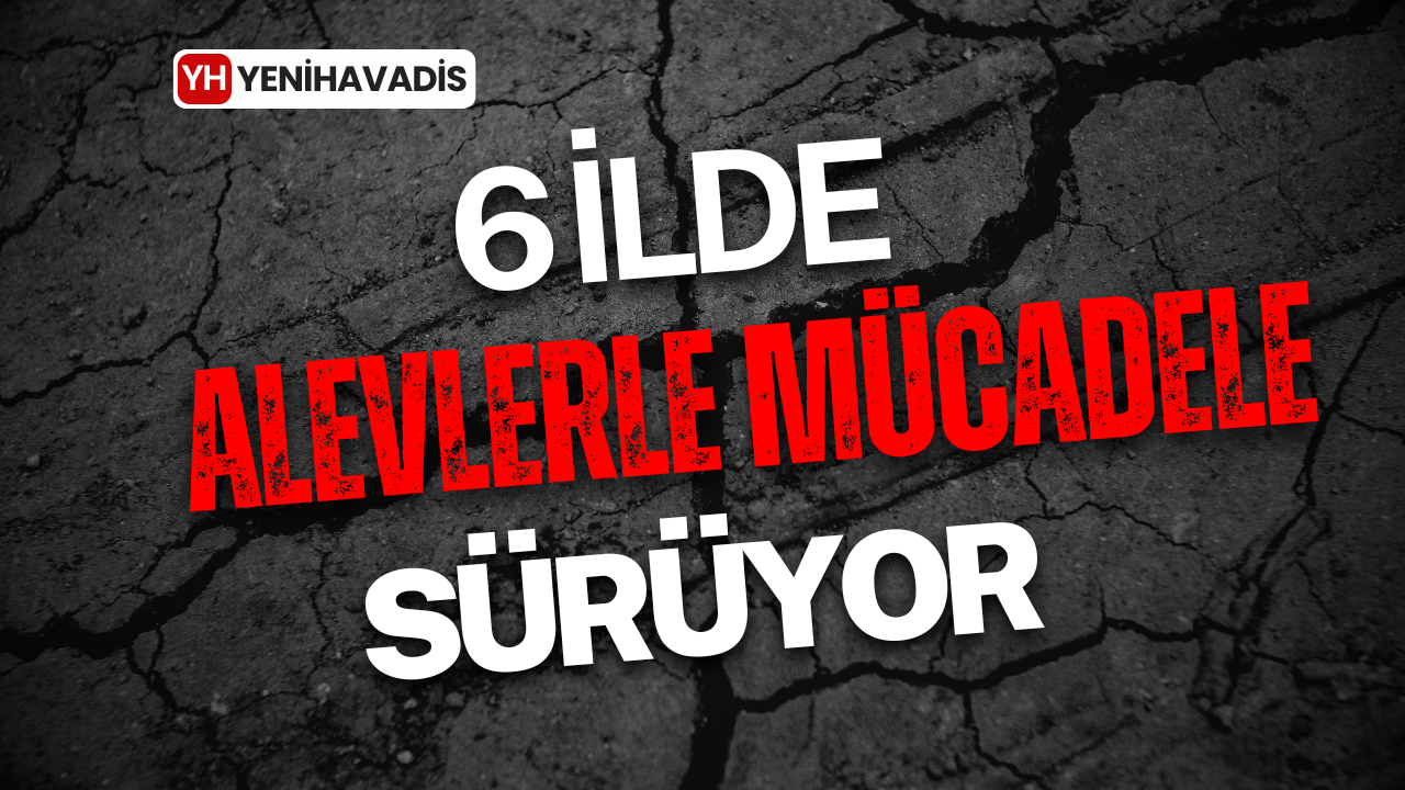 6 ilde alevlerle mücadele sürüyor