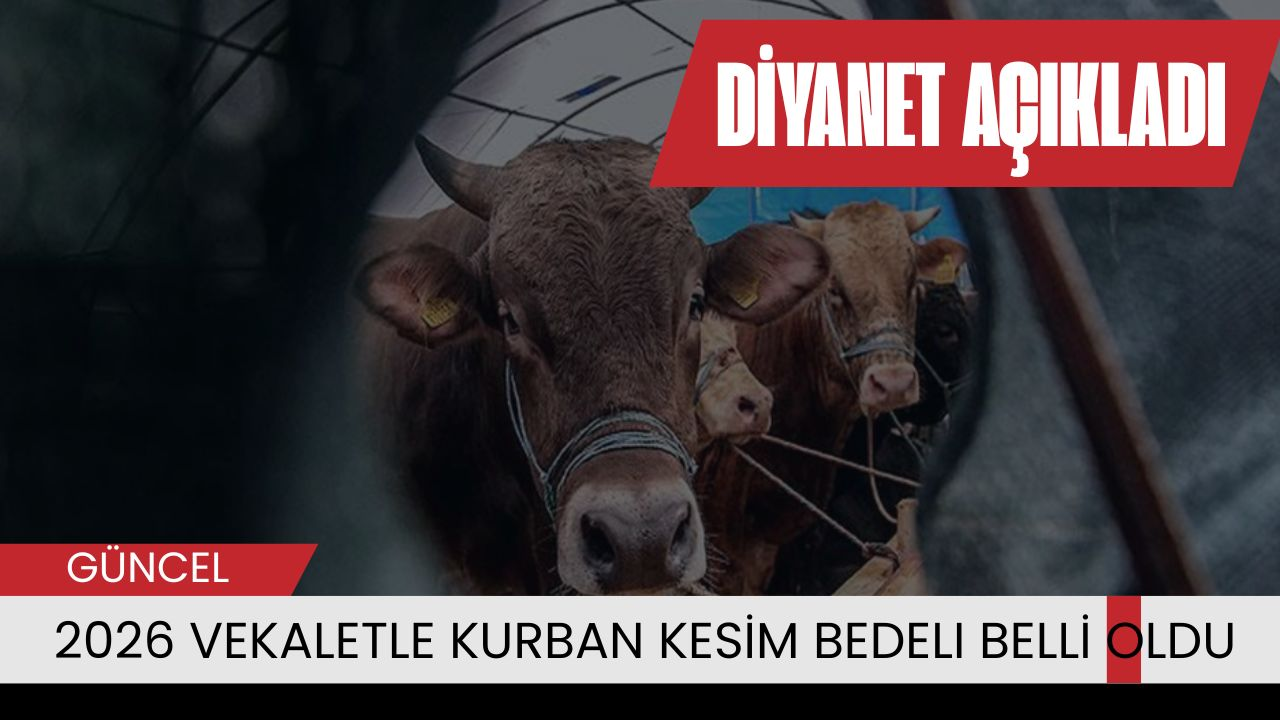 2026 vekaletle kurban kesim bedeli belli oldu