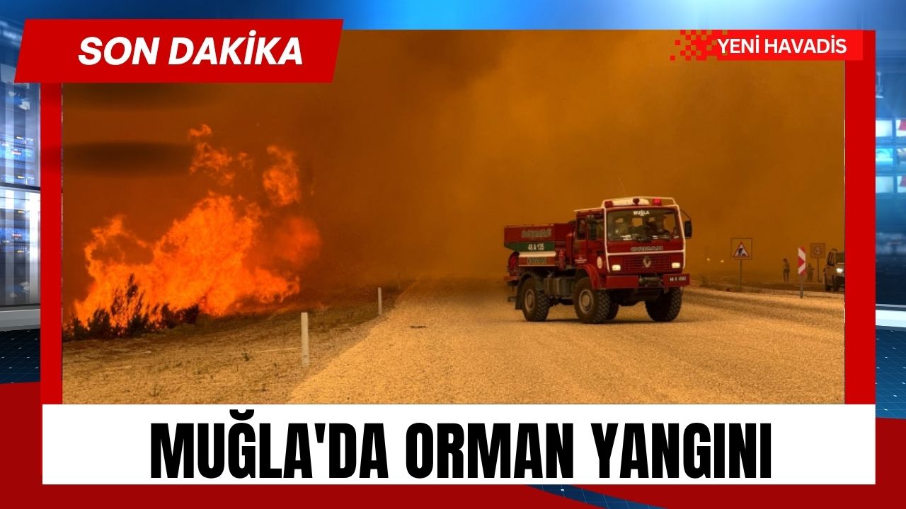 Muğla’da orman yangını